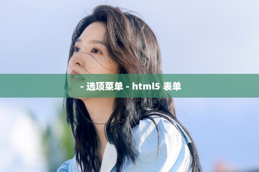  - 选项菜单 - html5 表单