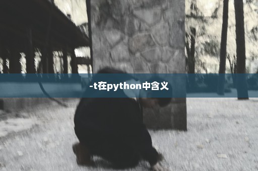 -t在python中含义