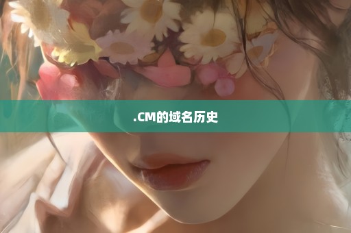 .CM的域名历史