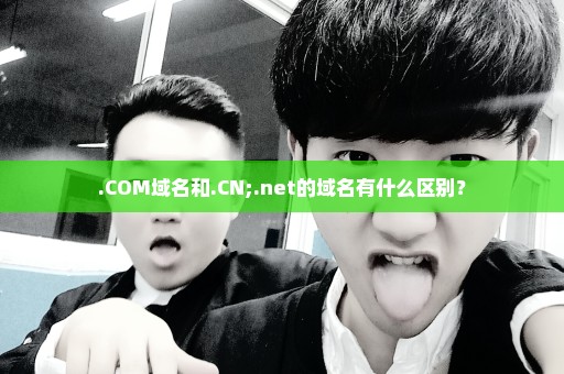 .COM域名和.CN;.net的域名有什么区别？