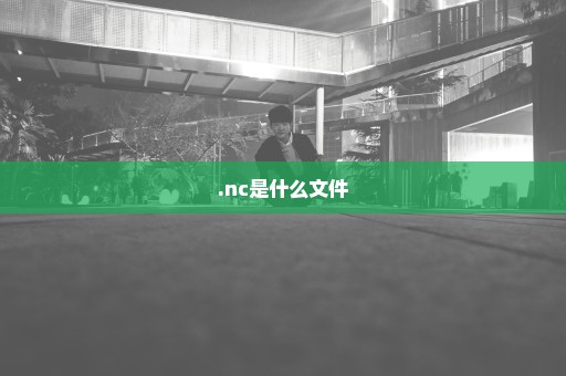 .nc是什么文件