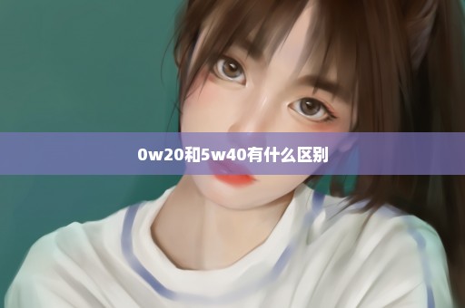 0w20和5w40有什么区别