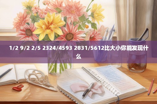 1/2+9/2+2/5+2324/4593+2831/5612比大小你能发现什么