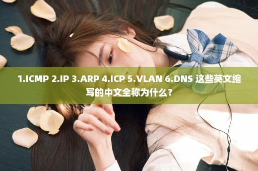 1.ICMP 2.IP 3.ARP 4.ICP 5.VLAN 6.DNS 这些英文缩写的中文全称为什么？