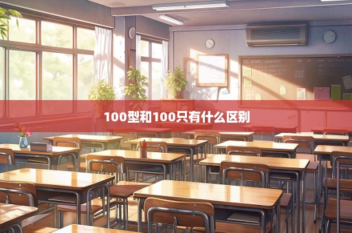 100型和100只有什么区别