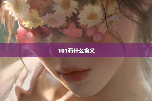 101有什么含义