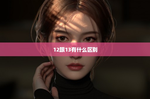 12跟13有什么区别