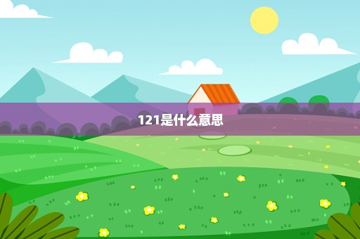 121是什么意思