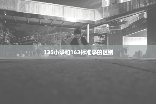 135小筝和163标准筝的区别