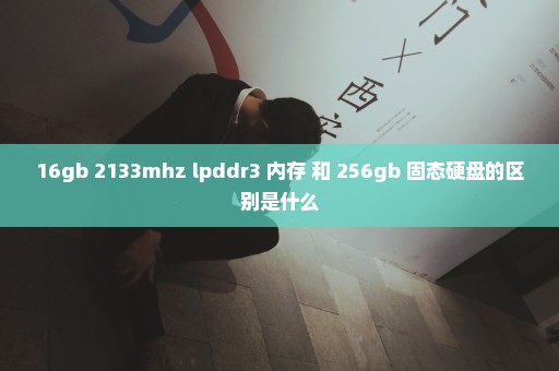 16gb 2133mhz lpddr3 内存 和 256gb 固态硬盘的区别是什么