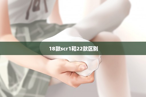 18款scr1和22款区别