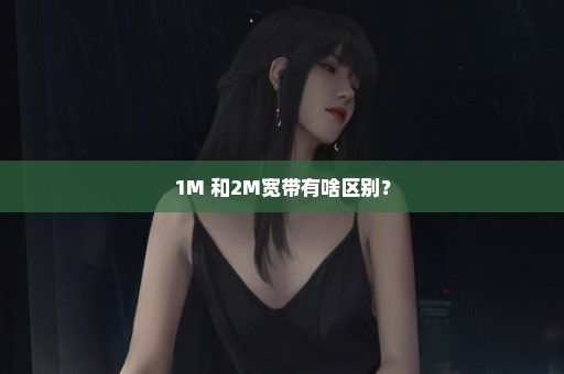 1M 和2M宽带有啥区别？