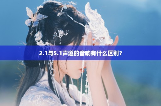 2.1与5.1声道的音响有什么区别？