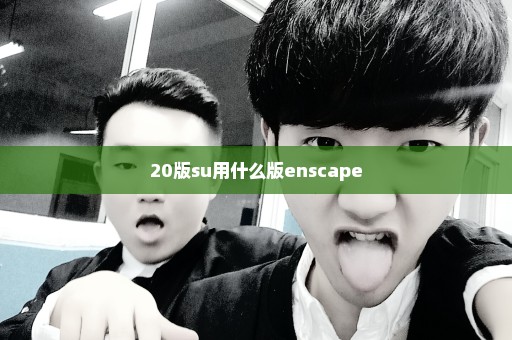 20版su用什么版enscape