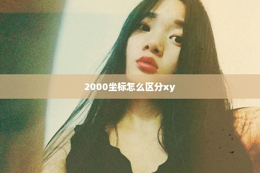 2000坐标怎么区分xy