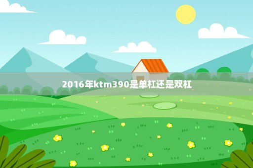 2016年ktm390是单杠还是双杠