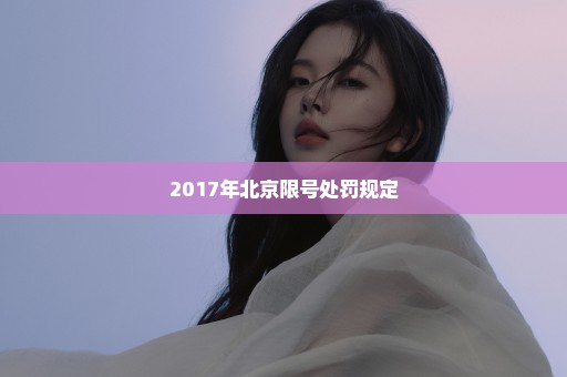 2017年北京限号处罚规定