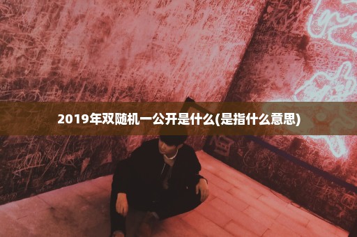 2019年双随机一公开是什么(是指什么意思)