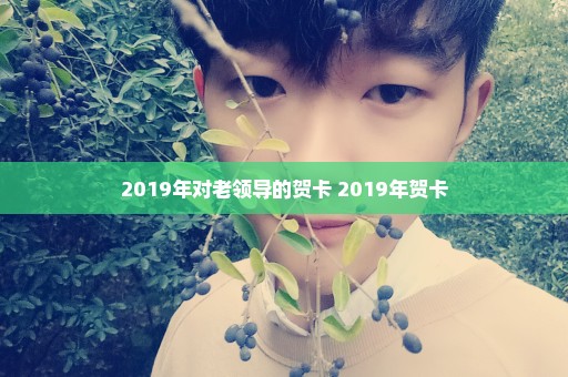 2019年对老领导的贺卡 2019年贺卡