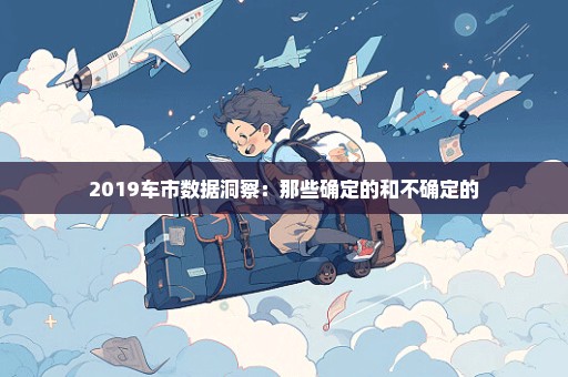 2019车市数据洞察：那些确定的和不确定的