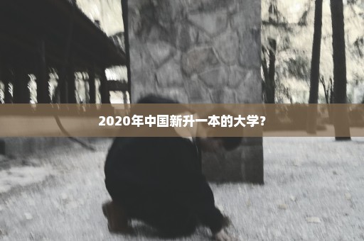 2020年中国新升一本的大学？