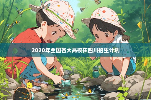 2020年全国各大高校在四川招生计划