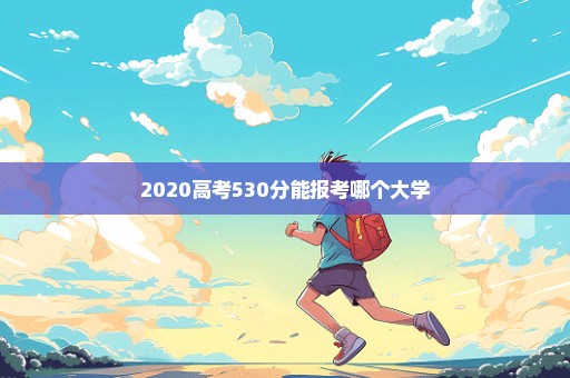 2020高考530分能报考哪个大学