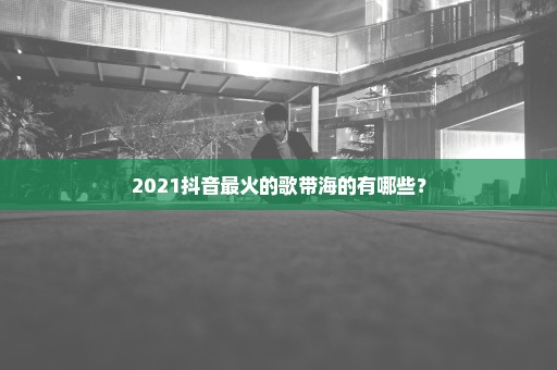 2021抖音最火的歌带海的有哪些？