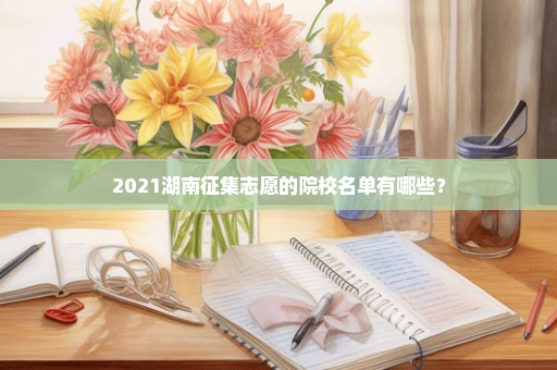 2021湖南征集志愿的院校名单有哪些？