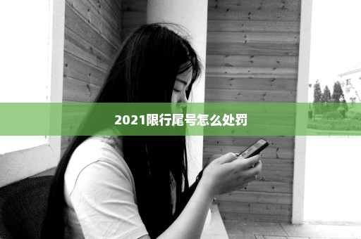 2021限行尾号怎么处罚