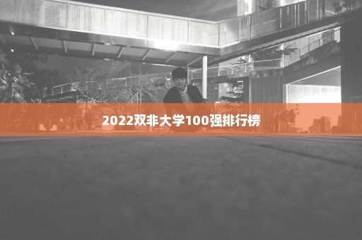 2022双非大学100强排行榜