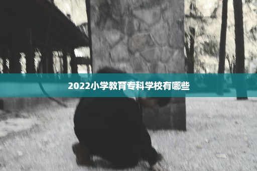 2022小学教育专科学校有哪些