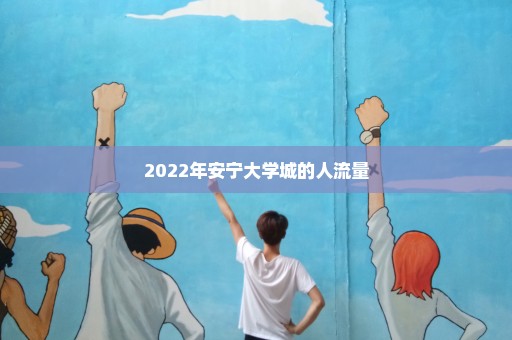 2022年安宁大学城的人流量