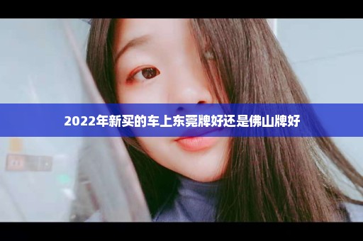 2022年新买的车上东莞牌好还是佛山牌好