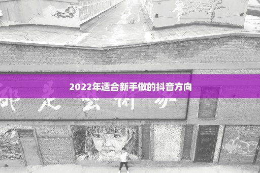 2022年适合新手做的抖音方向