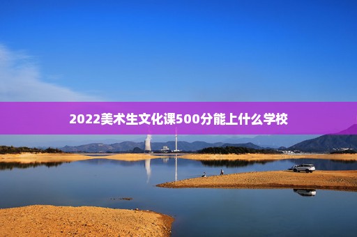 2022美术生文化课500分能上什么学校