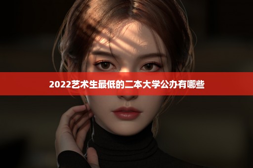 2022艺术生最低的二本大学公办有哪些