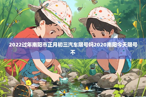 2022过年南阳市正月初三汽车限号吗2020南阳今天限号不