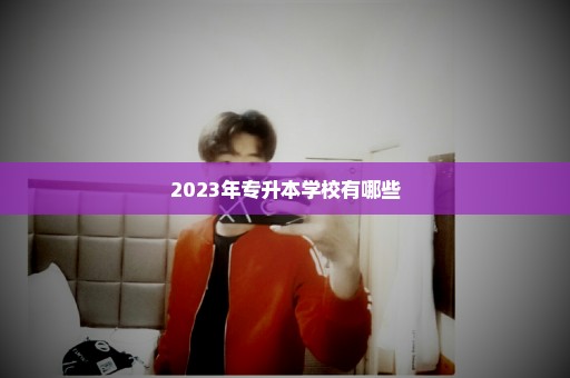 2023年专升本学校有哪些