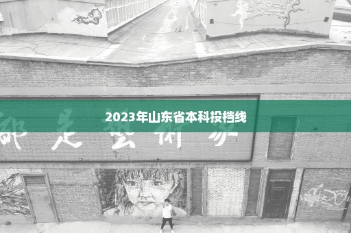 2023年山东省本科投档线