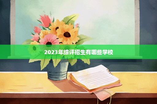 2023年综评招生有哪些学校