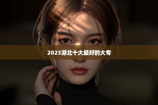 2023湖北十大最好的大专