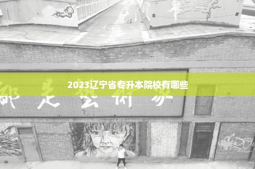 2023辽宁省专升本院校有哪些