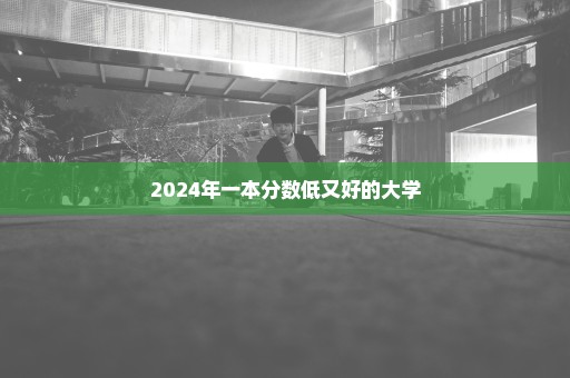 2024年一本分数低又好的大学