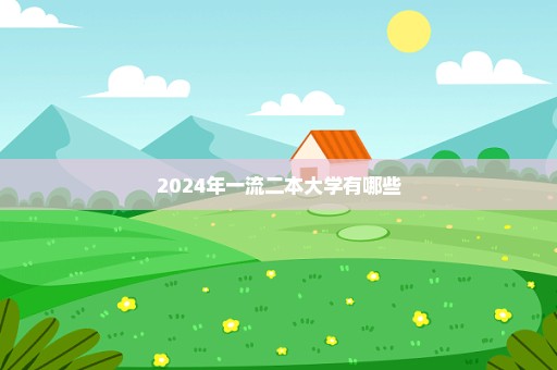 2024年一流二本大学有哪些