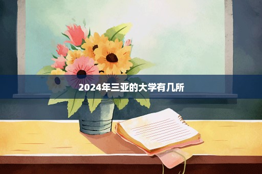 2024年三亚的大学有几所