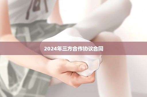 2024年三方合作协议合同