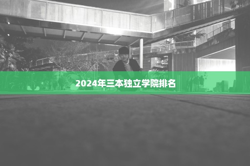 2024年三本独立学院排名