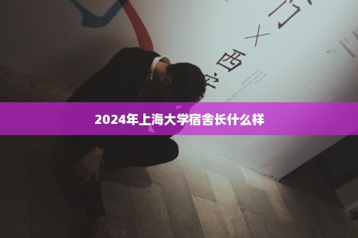 2024年上海大学宿舍长什么样