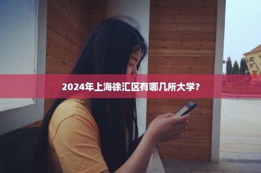 2024年上海徐汇区有哪几所大学？